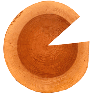 ５つのコンセプト