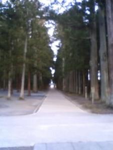 瑞巌寺からの杉並木
